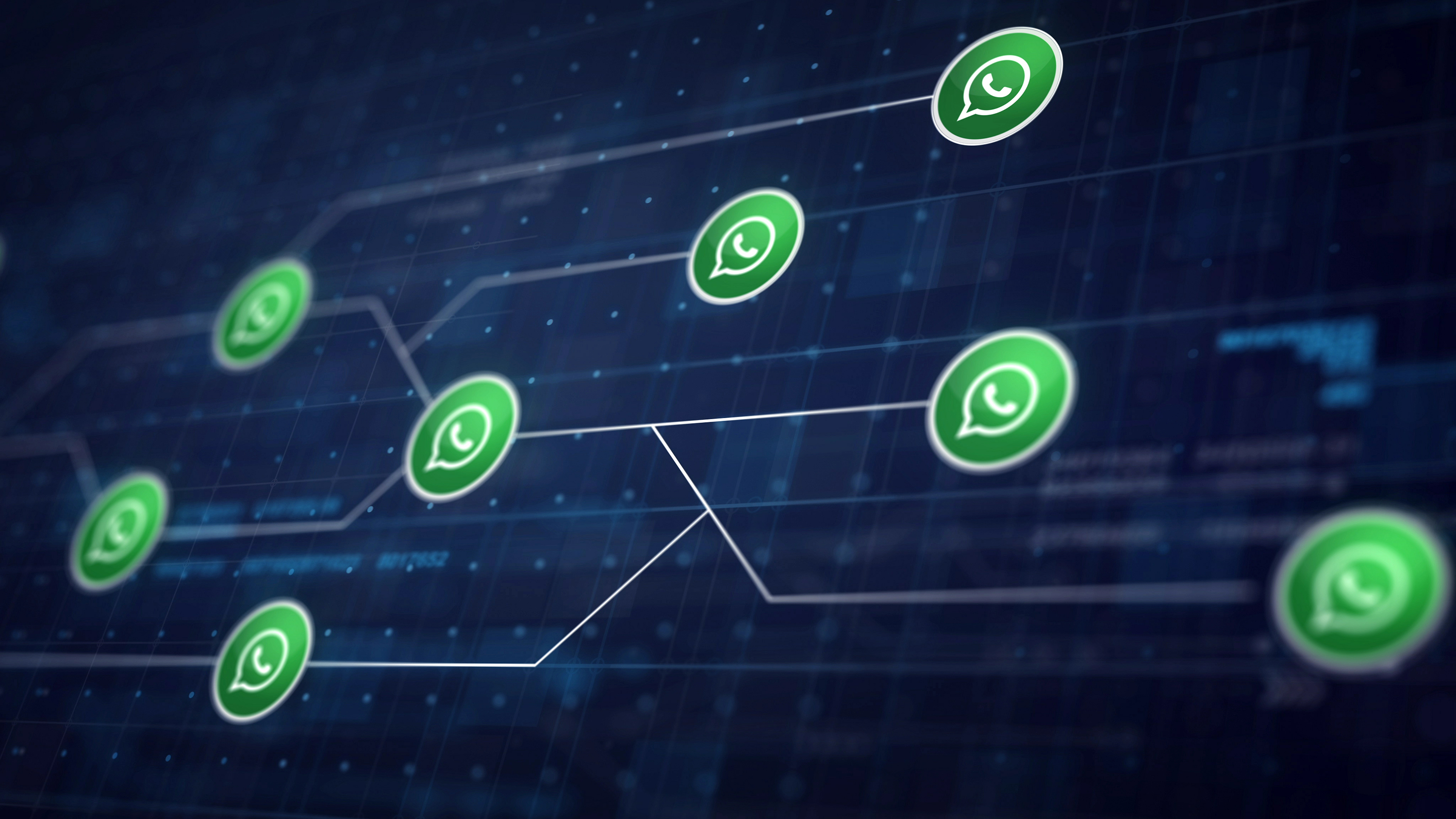 How to capture and qualify leads via WhatsApp: a practical guide